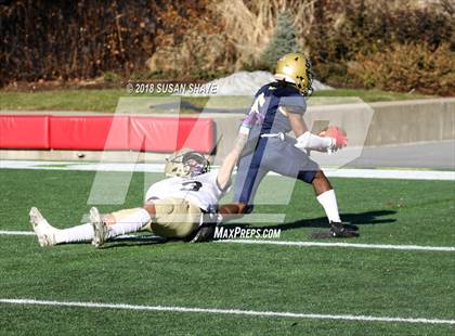 Thumbnail 3 in Pope John XXIII vs. St. Bernard's Central Catholic (MIAA Division 8 Final) photogallery.