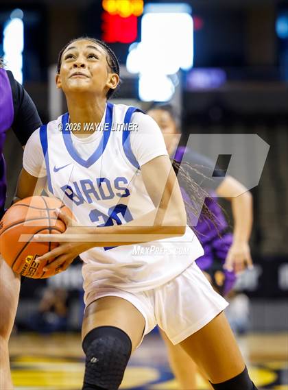 Thumbnail 2 in Campbell County vs Highlands photogallery.