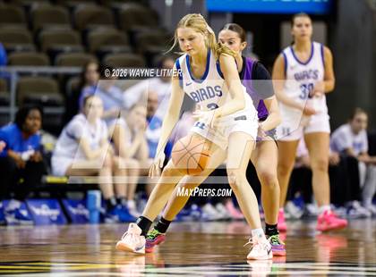 Thumbnail 2 in Campbell County vs Highlands photogallery.