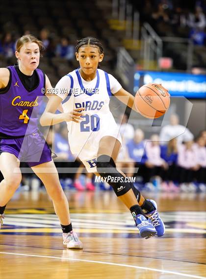 Thumbnail 2 in Campbell County vs Highlands photogallery.