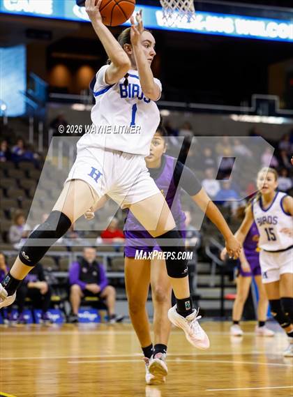 Thumbnail 2 in Campbell County vs Highlands photogallery.