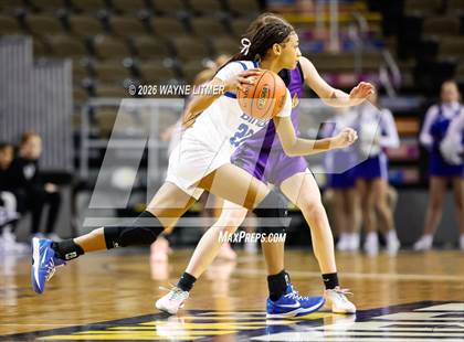 Thumbnail 3 in Campbell County vs Highlands photogallery.