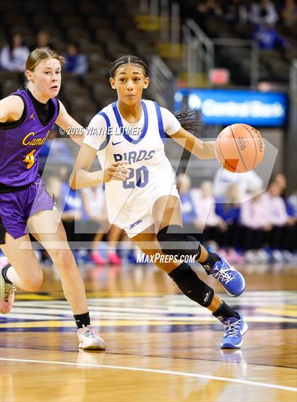 Thumbnail 1 in Campbell County vs Highlands photogallery.