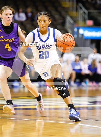 Thumbnail 3 in Campbell County vs Highlands photogallery.