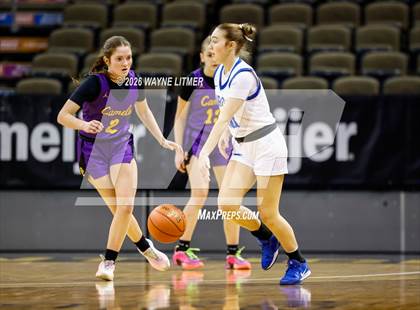 Thumbnail 1 in Campbell County vs Highlands photogallery.