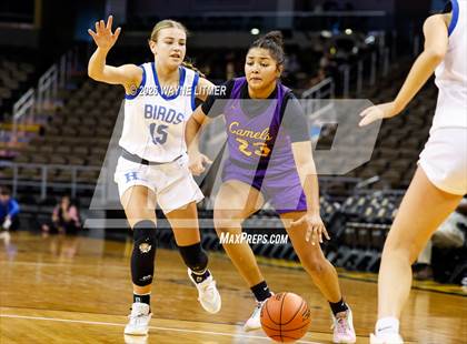 Thumbnail 2 in Campbell County vs Highlands photogallery.