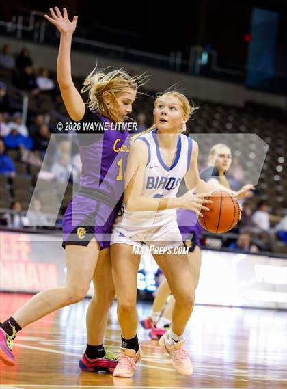 Thumbnail 1 in Campbell County vs Highlands photogallery.