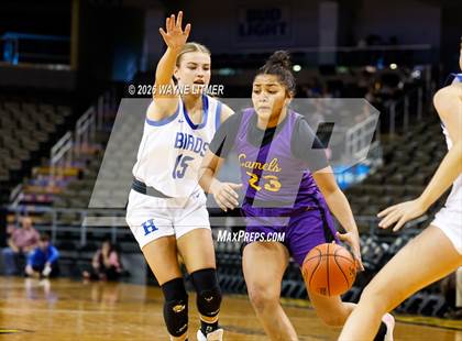 Thumbnail 3 in Campbell County vs Highlands photogallery.