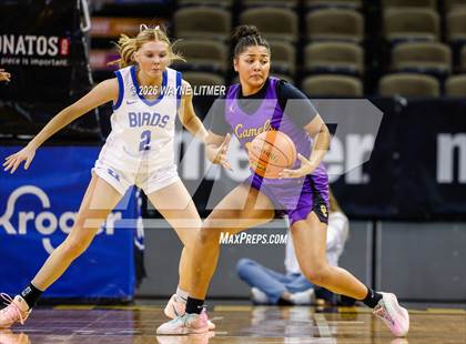 Thumbnail 2 in Campbell County vs Highlands photogallery.