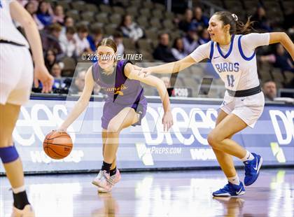 Thumbnail 1 in Campbell County vs Highlands photogallery.