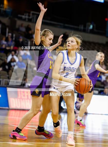 Thumbnail 2 in Campbell County vs Highlands photogallery.