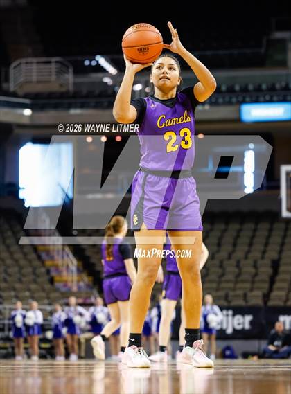 Thumbnail 2 in Campbell County vs Highlands photogallery.