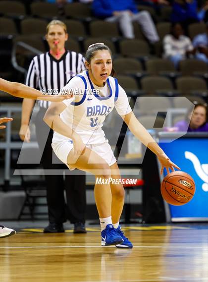 Thumbnail 3 in Campbell County vs Highlands photogallery.