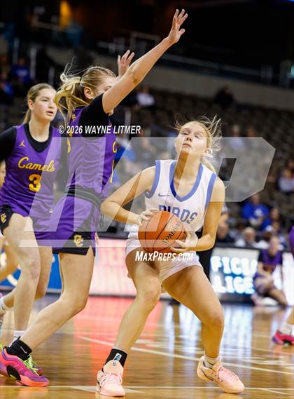 Thumbnail 1 in Campbell County vs Highlands photogallery.