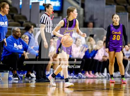 Thumbnail 1 in Campbell County vs Highlands photogallery.