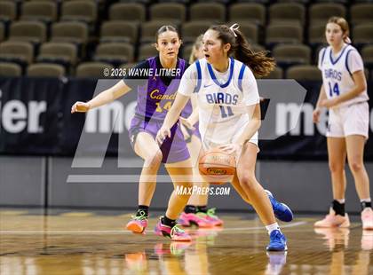 Thumbnail 2 in Campbell County vs Highlands photogallery.