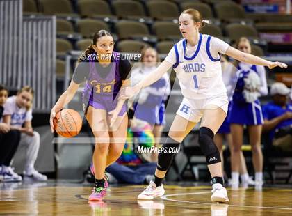 Thumbnail 3 in Campbell County vs Highlands photogallery.