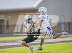 Photo from the gallery "Dayton @ Nederland "