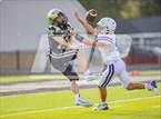Photo from the gallery "Dayton @ Nederland "