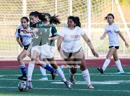Thumbnail 3 in Skyline @ Sammamish photogallery.