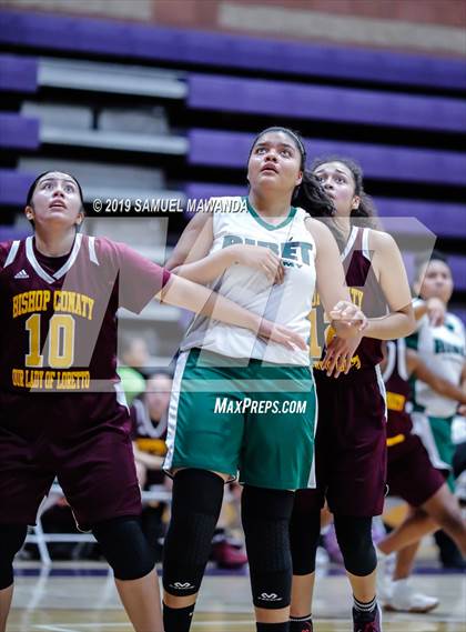 Thumbnail 1 in Ribet Academy vs  Bishop Conaty-Loretto photogallery.