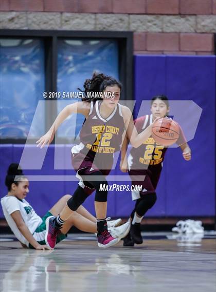 Thumbnail 1 in Ribet Academy vs  Bishop Conaty-Loretto photogallery.