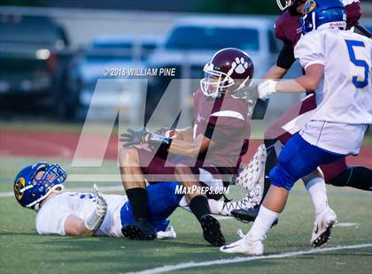 Thumbnail 1 in Washingtonville @ Kingston photogallery.