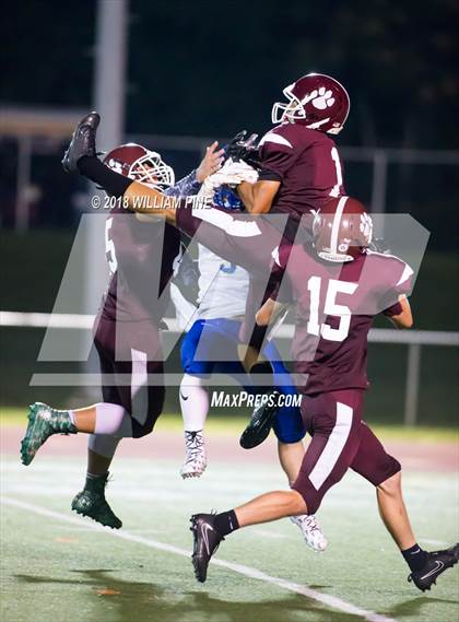 Thumbnail 3 in Washingtonville @ Kingston photogallery.
