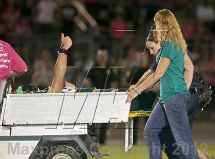 Thumbnail 2 in First Coast @ Fleming Island photogallery.