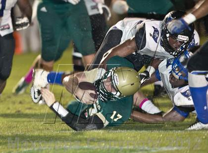 Thumbnail 1 in First Coast @ Fleming Island photogallery.