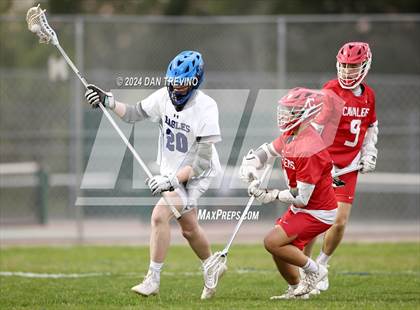 Thumbnail 3 in Princess Anne @ Landstown photogallery.