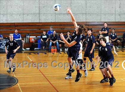 Thumbnail 2 in Chadwick vs. Viewpoint (CIF SS D5 Final) photogallery.