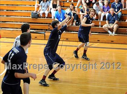 Thumbnail 2 in Chadwick vs. Viewpoint (CIF SS D5 Final) photogallery.
