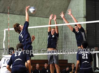 Thumbnail 2 in Chadwick vs. Viewpoint (CIF SS D5 Final) photogallery.