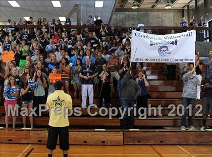 Thumbnail 3 in Chadwick vs. Viewpoint (CIF SS D5 Final) photogallery.