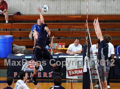 Thumbnail 2 in Chadwick vs. Viewpoint (CIF SS D5 Final) photogallery.