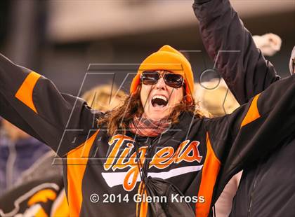 Thumbnail 3 in Elizabeth vs. Linden (NJSIAA North 2 Group 4 Final) photogallery.