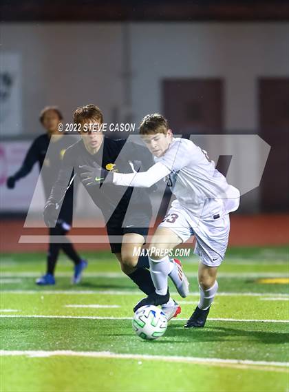 Thumbnail 1 in Whitney @ Del Oro photogallery.