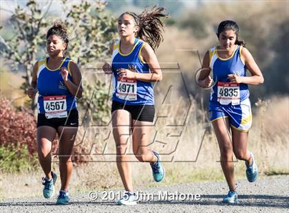 Thumbnail 3 in JV: MVAL Cross Country Finals (NCS-CIF) photogallery.