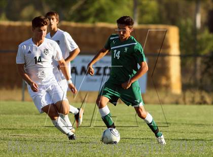 Thumbnail 3 in Borah @ Eagle photogallery.