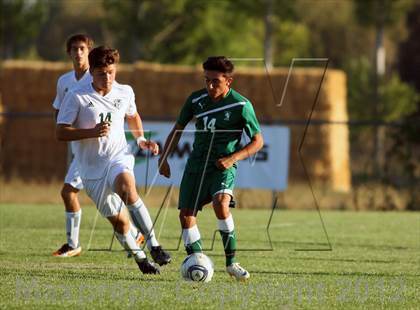 Thumbnail 1 in Borah @ Eagle photogallery.