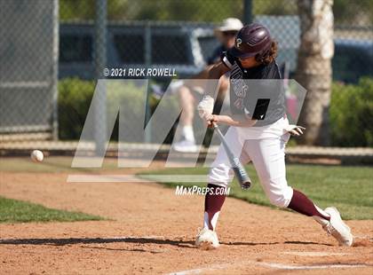 Thumbnail 3 in Poly @ Paloma Valley photogallery.