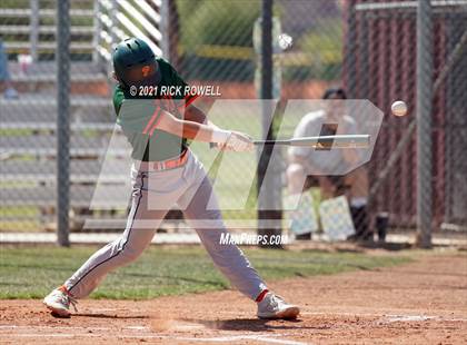 Thumbnail 1 in Poly @ Paloma Valley photogallery.