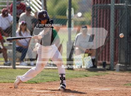 Thumbnail 1 in Poly @ Paloma Valley photogallery.