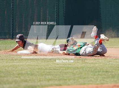 Thumbnail 1 in Poly @ Paloma Valley photogallery.