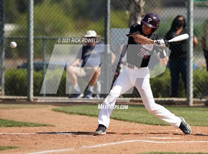Thumbnail 1 in Poly @ Paloma Valley photogallery.