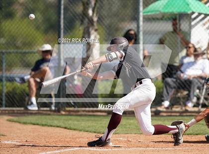 Thumbnail 2 in Poly @ Paloma Valley photogallery.