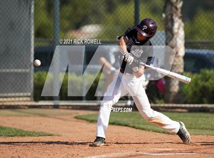 Thumbnail 3 in Poly @ Paloma Valley photogallery.