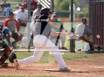 Thumbnail 2 in Poly @ Paloma Valley photogallery.