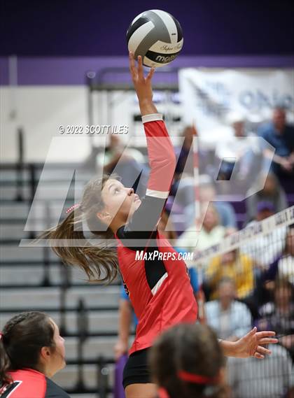 Thumbnail 1 in Unioto vs. Circleville (OHSAA D2 District) photogallery.